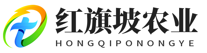 演示站